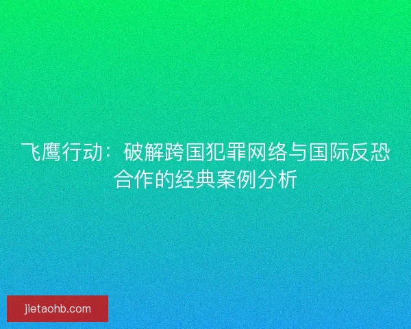 飞鹰行动：破解跨国犯罪网络与国际反恐合作的经典案例分析